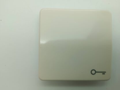 Jung 15900314 Wippe cremeweiß mit Schlüsselsymbol