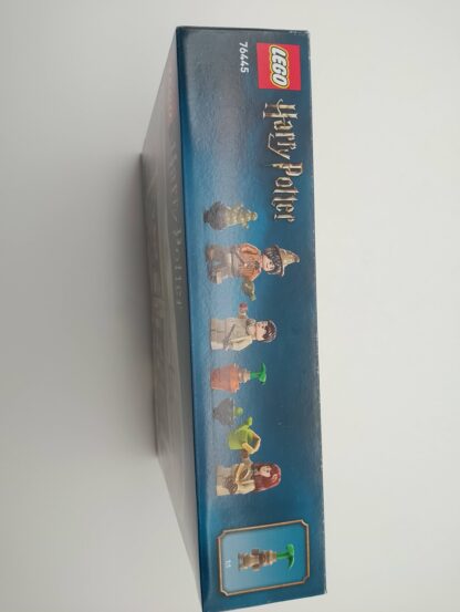 LEGO Harry Potter 76445 Schloss Hogwarts: Kräuterkundeunterricht – Bild 6