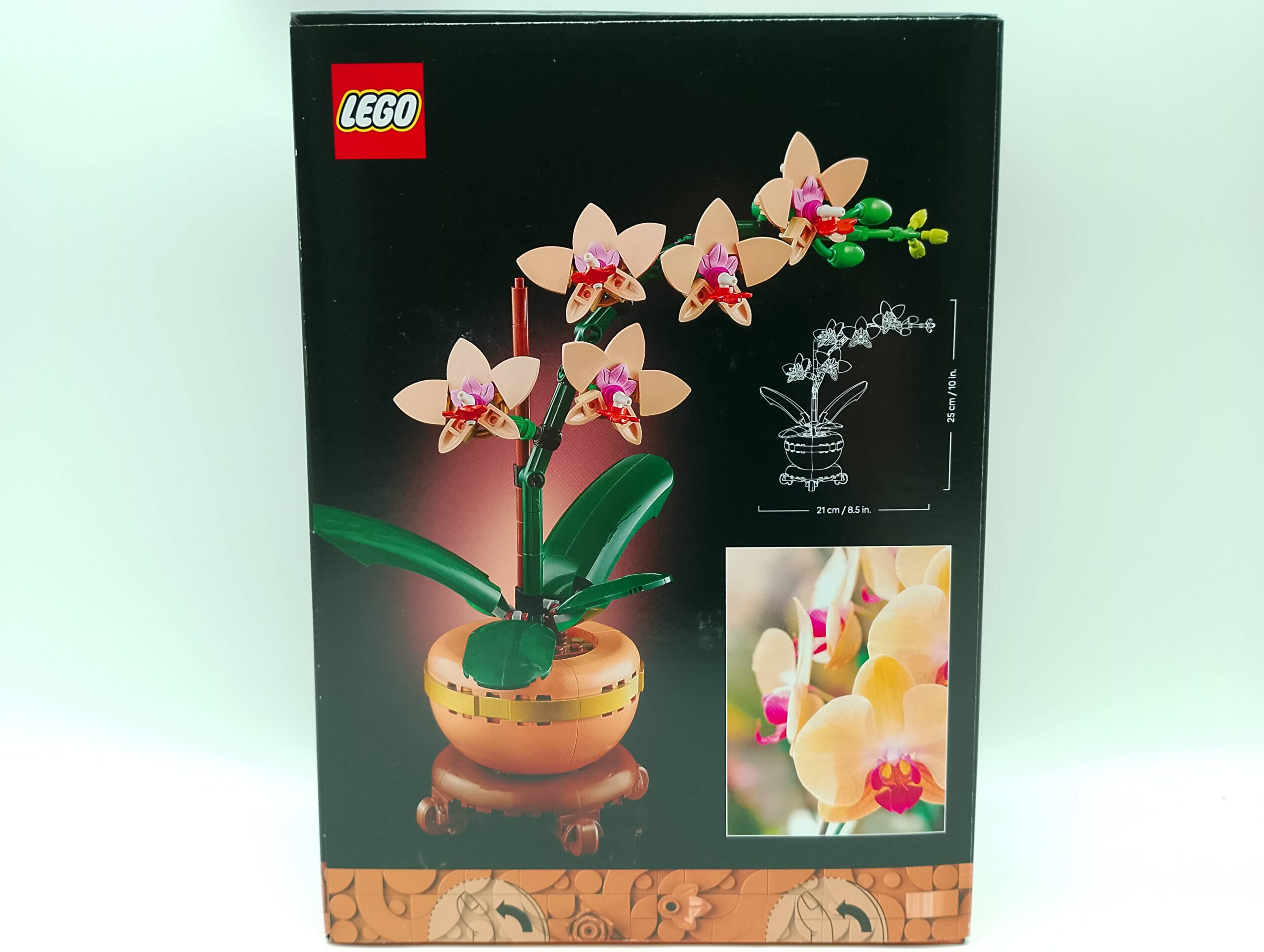 LEGO Botanicals 10343 Mini-Orchidee – Bild 2
