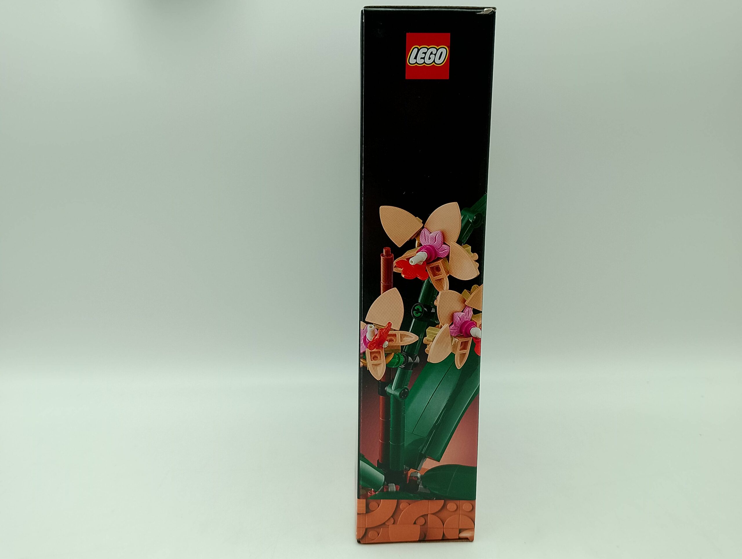 LEGO Botanicals 10343 Mini-Orchidee – Bild 5