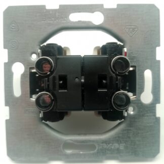 Berker 21805 Serienschalter Doppelschalter Taster